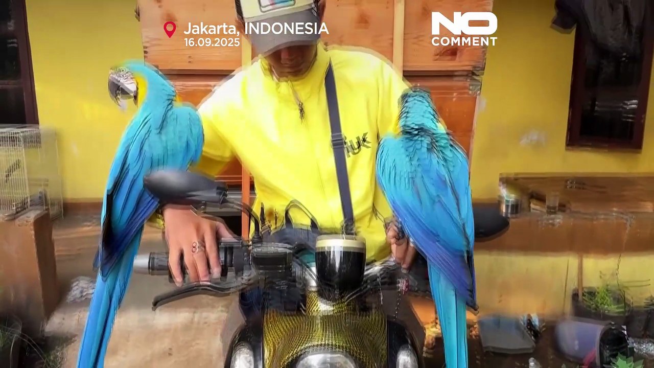 Motorradmechaniker trainiert jetzt Aras in Jakarta