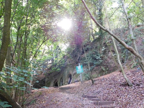 The Hermitage in the ancient woodland around Dale Abbey