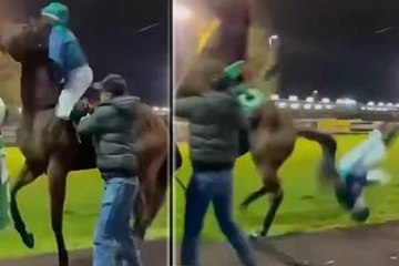 Un caballo le pega un cabezazo a un jockey y lo lanza por los aires