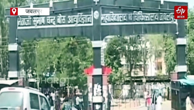 इंदौर के बाद जबलपुर के मेडिकल कॉलेज में भी चूहों का आतंक, मरीज और उनके परिजनों को चूहों ने काटा