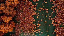 Horoscop 15-21 septembrie 2025 - oferit de horoscop-urania.org