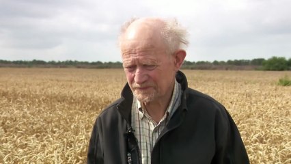 KLIP 1 | TV-hold måtte afbryde interview for at redde killing | 4 klip i alt | 2025 | TV2 NORD