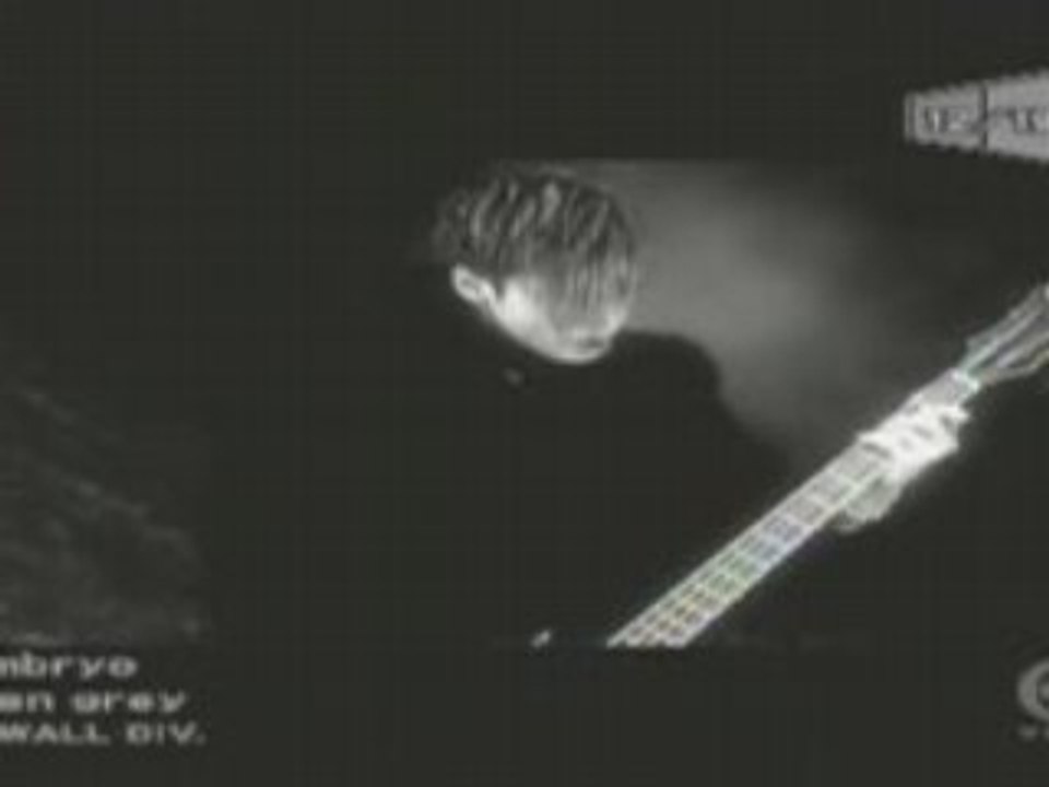 dir en grey - Embryo PV