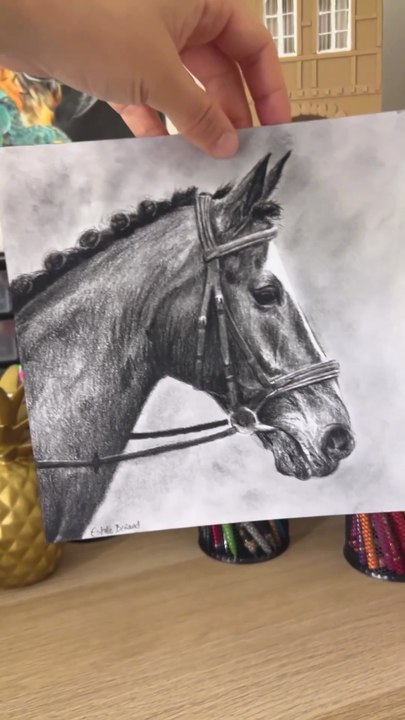 Dessin réaliste d'un cheval à la pierre noire #dessin #horse #draw #drawing