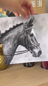 Dessin réaliste d'un cheval à la pierre noire #dessin #horse #draw #drawing