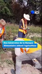 Haute-Vienne : la Banque Alimentaire signe avec des agriculteurs pour se fournir en produits frais et locaux