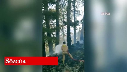 Köyceğiz’de ormanlık alanda çıkan yangın kontrol altına alındı
