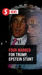 Visuals of Trump, Epstein projected onto Windsor Castle, four detained for 'public stunt'