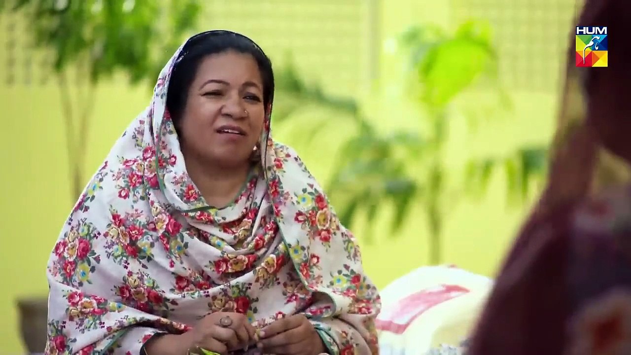 Choti Si Zindagi Episode _01 HUM TV Drama(720P_HD)