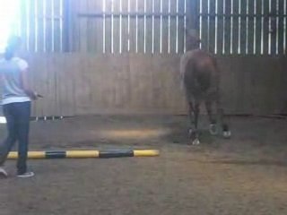 Jojo a envie d'se rouler mais doit travailler :D