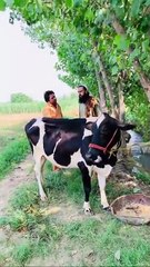 Daroghjan_Saodagar_😂___Pashto_New_Funny_Video_2025Daroghjan_Saodagar_😂___Pashto_New_Funny_Video_2025..._See_more(360p)