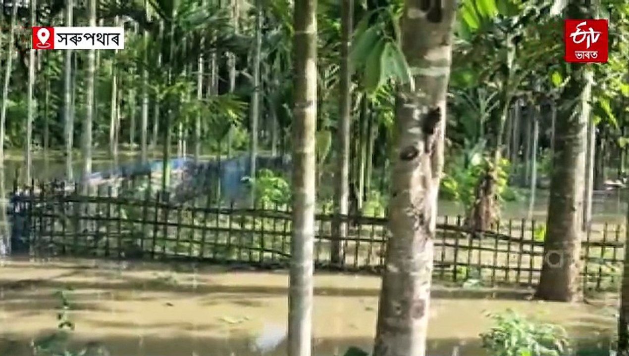 নীপকোৱে জাননী নিদিয়াকৈ এৰিছে পানী, ভদীয়া বানৰ কবলত ৫৬ খন গাঁও