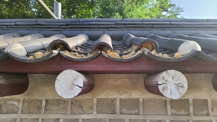 취객이 종묘 담장 기와 파손...훼손 용의자 추적 / YTN