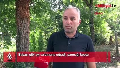 Ayı kabusları oldu! Babasının yüzü parçalandı, oğlunun parmağı koptu