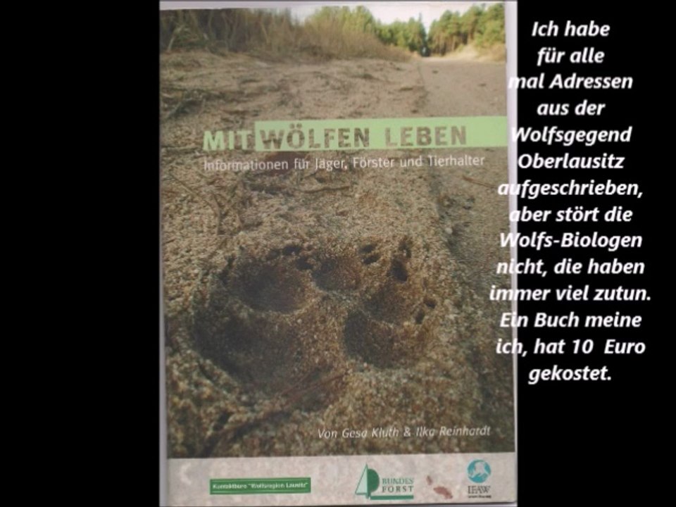 - Heulen der Neustädter Wölfin  2003 - sie war auf Paarungspartnersuche