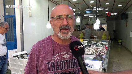 Karadeniz'de nadir olarak görülüyor, bu kez Sinop'ta ortaya çıktı