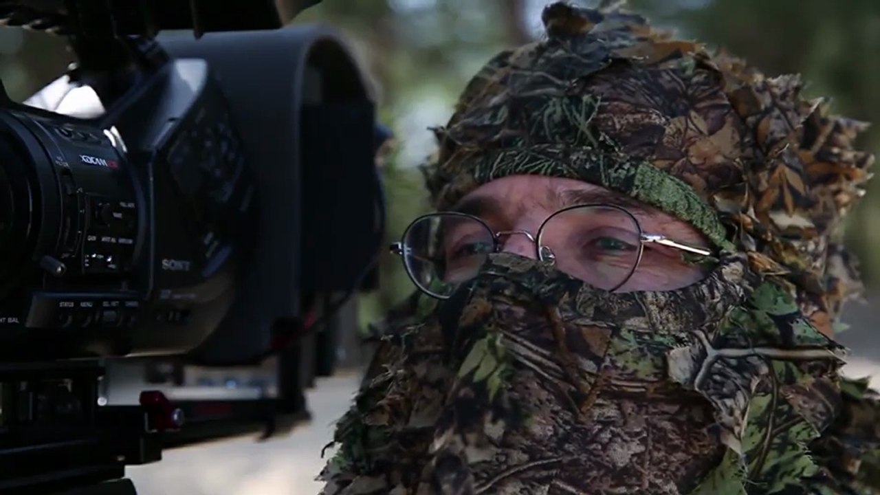 Wölfe in Deutschland