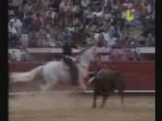 Pablo hermoso de mendoza