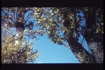 Cartas de amor de una monja (Jorge Grau, 1978) - Película completa