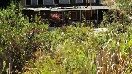 Toxina (2015) - Película de Acción Completa - Taylor Handley, Danny Glover, Vinnie Jones