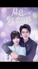 陆总突发离婚风波！81集古装穿越剧《陈凯洲&李泫逸》热播中🔥