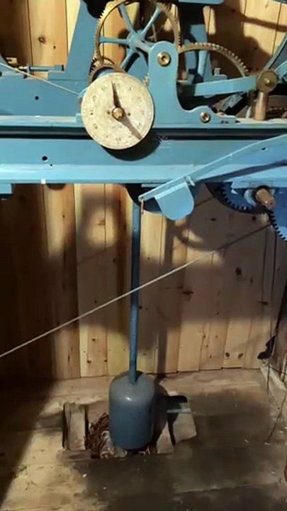Grey squirrel kits in a drey beneath the clock in Ashbrittle Parish Church.