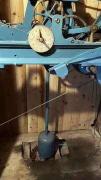 Grey squirrel kits in a drey beneath the clock in Ashbrittle Parish Church.