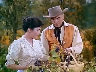 El Molino /Serie "Bonanza"