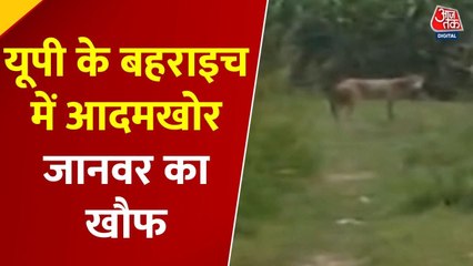 बहराइच में आदमखोर जानवर का आतंक, 5 दिन में 3 मौत से दहशत, देखें