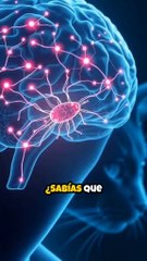 ¡No es ficción! ¿Un parásito podría estar controlando tu personalidad sin que lo sepas?