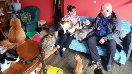 Take a closer look at the Qattery in Wolverhampton