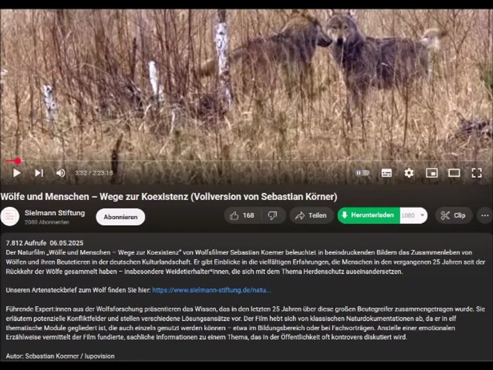 2025 Info: Der neuste Wolfsfilm - Wölfe und Menschen - Wege zur Koexistenz (Vollversion von Sebastian Körner)
