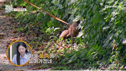 김성주 얼굴에 웃음꽃이?! 인형 같은 미모를 자랑하는 늑대 2호에 푹 빠졌다!