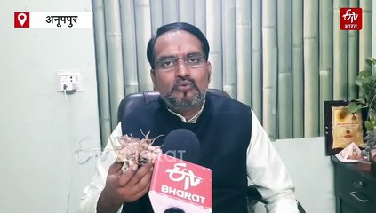 अश्वगंधा से भी ज्यादा ताकतवर है जंगली तीखुर, कमजोर से कमजोर भी बन जाता है पहलवान