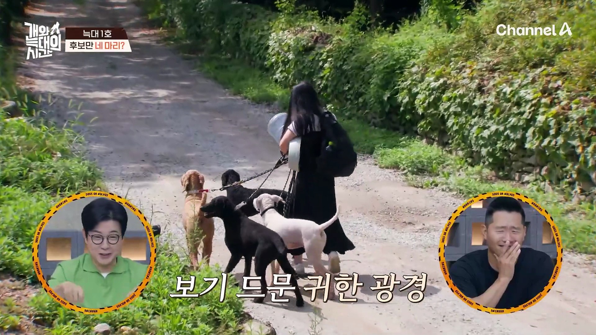 \, image size:1920x1080