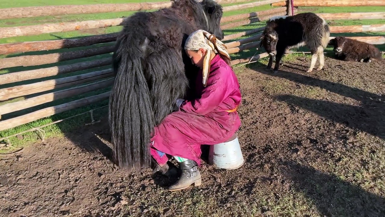 Mongolie juin 2025