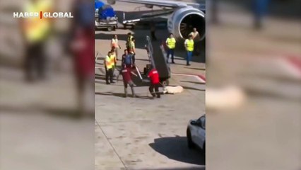 Görüntüler büyük tepki toplamıştı: İstanbul Havalimanı'nda yerde sürüklenen köpeğe ilişkin açıklama