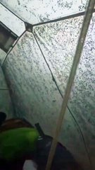 Представьте что вы просыпаетесь утром и видите это