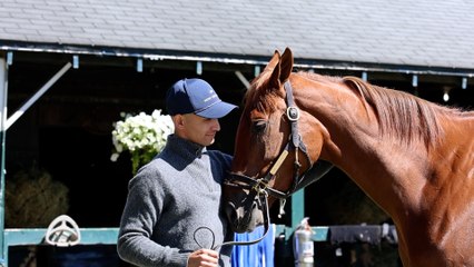 She Feels Pretty and Company On Track for the Breeders' Cup