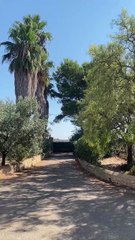 Unsere letzten Tage auf Mallorca!