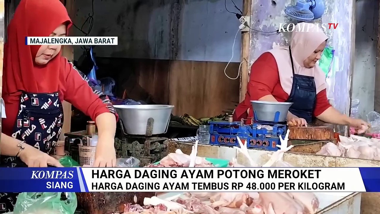 Harga Ayam Potong Tembus Rp48 Ribu per Kg, Mentan: Sebentar Lagi Stabil | KOMPAS SIANG