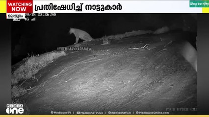 മണ്ണാർമലയിലിറങ്ങിയ പുലിയെ പിടികൂടണം; പ്രതിഷേധവുമായി നാട്ടുകാർ