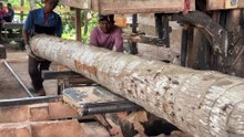 Coconut Wood Cutting Technique 5x7 for Greater Efficiency