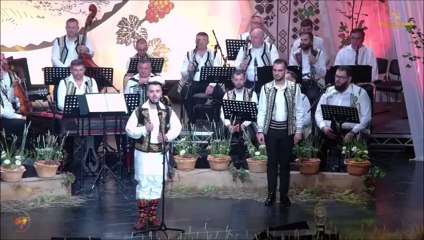 Dorinel Gavrilut - Festivalul National „Strugurele de aur” - Alba-Iulia - 03.09.2025