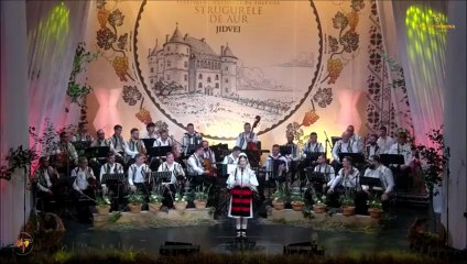 Maximiliana Valentina Poenar - Festivalul National „Strugurele de aur” - Alba-Iulia - 03.09.2025