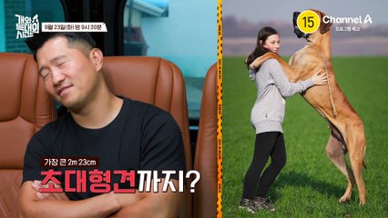 [8회 예고] 드디어 만난 아빠 보호자! '입양'을 또 원한다고? 그의 말에 발끈한 강형욱?!