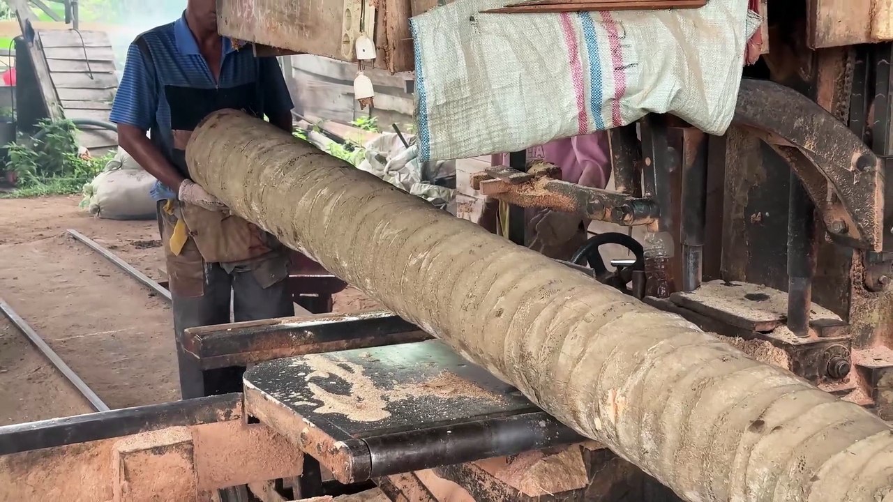 Tutorial for a 5x10 Coconut Wood Sawmill, Neat and Fast Results