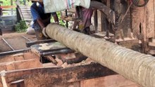 Cut the Coconut Trunk into 5x10 Wood Using a Sawmill Machine