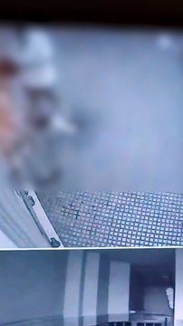 Bologna, il video dopo la violenta rissa in via Matteotti