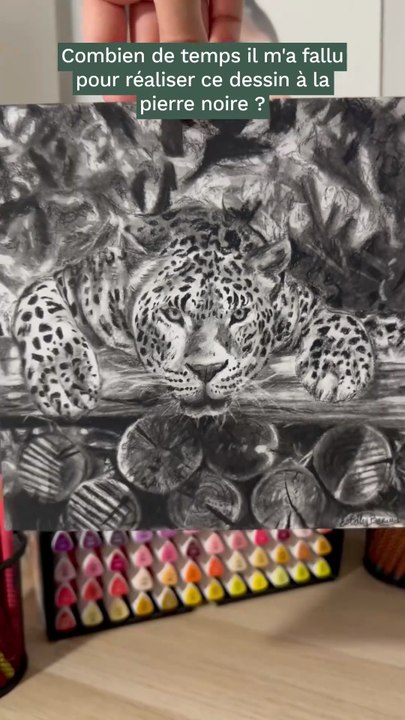 Dessin réaliste d'un félin à la pierre noire #dessin #art #draw #drawing